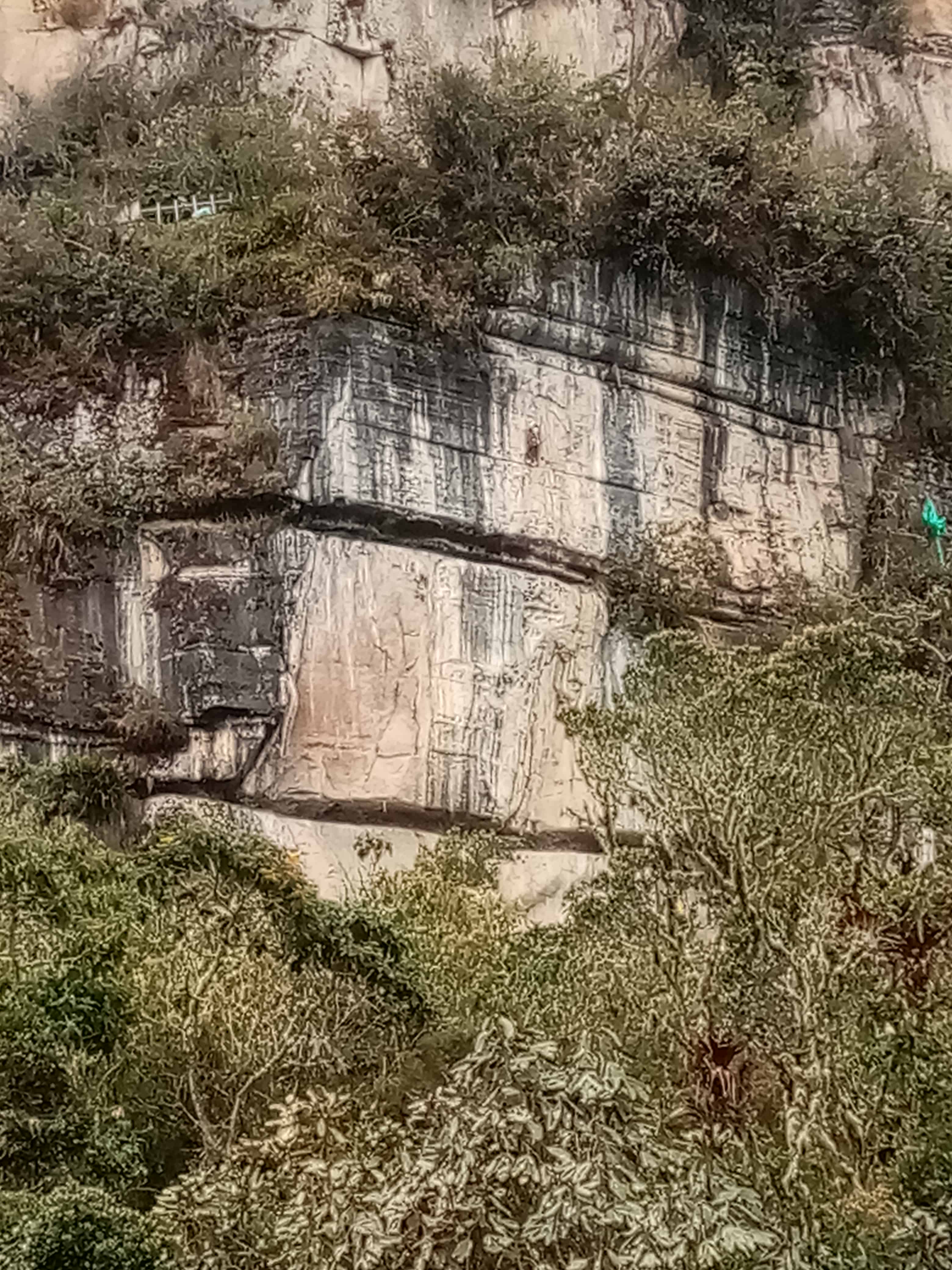 Vista del muro
